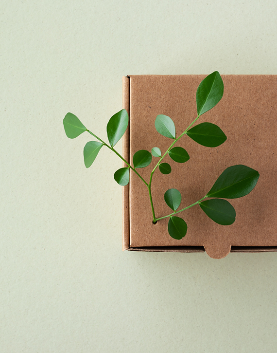 GBW_VErpackung_01